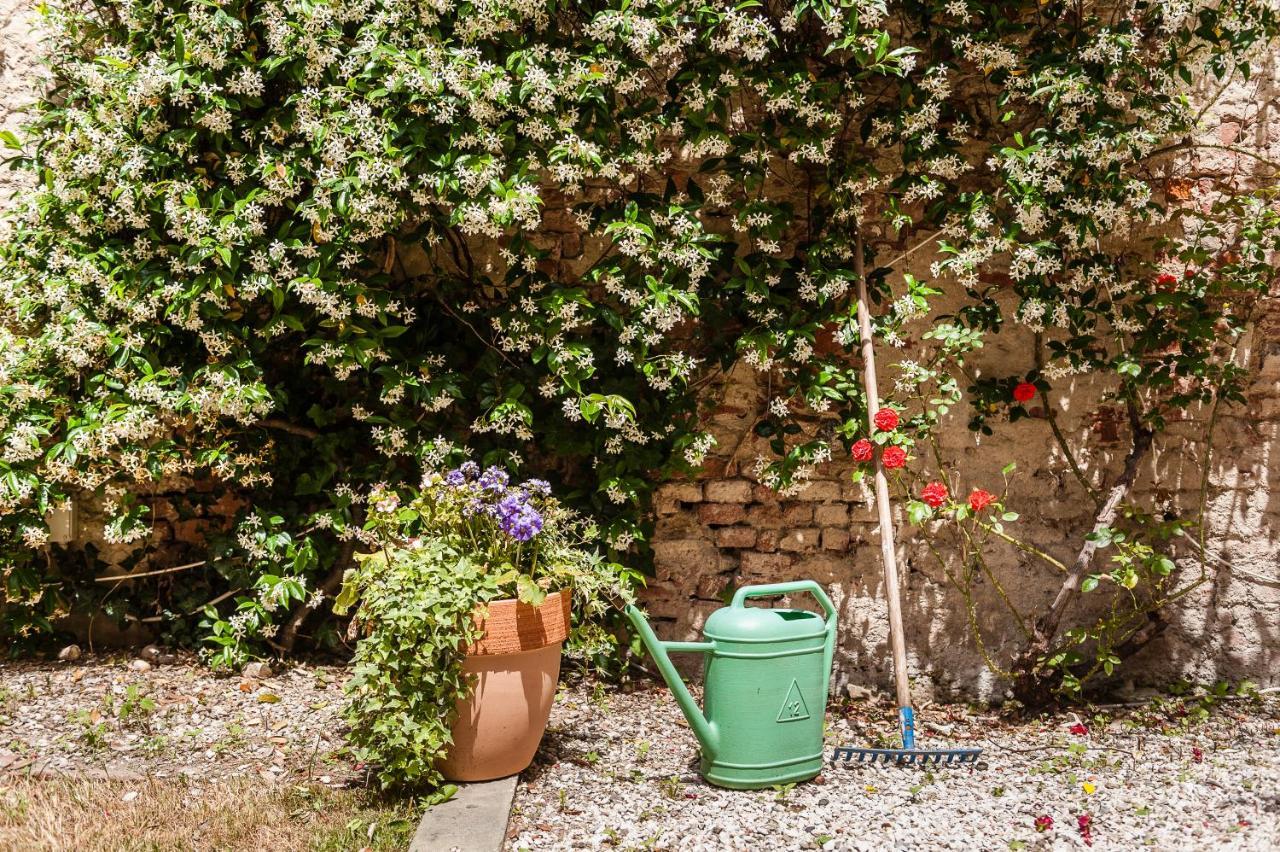 Hostly - Garden House Near The Tower - Historical House With Private Garden Lägenhet Pisa Exteriör bild